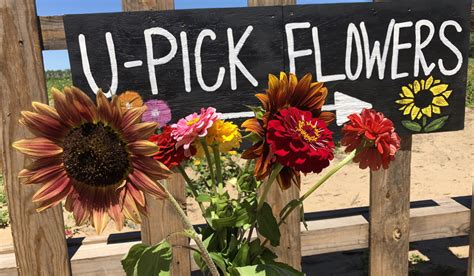 Pick up flowers near me. Things To Know About Pick up flowers near me. 